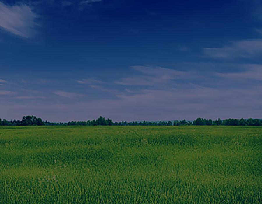 Environment